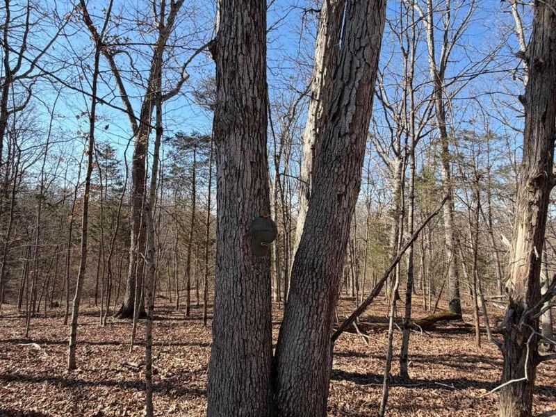 2195 Pumpkin Ridge Road , West Union, OH 45693 Photo 22