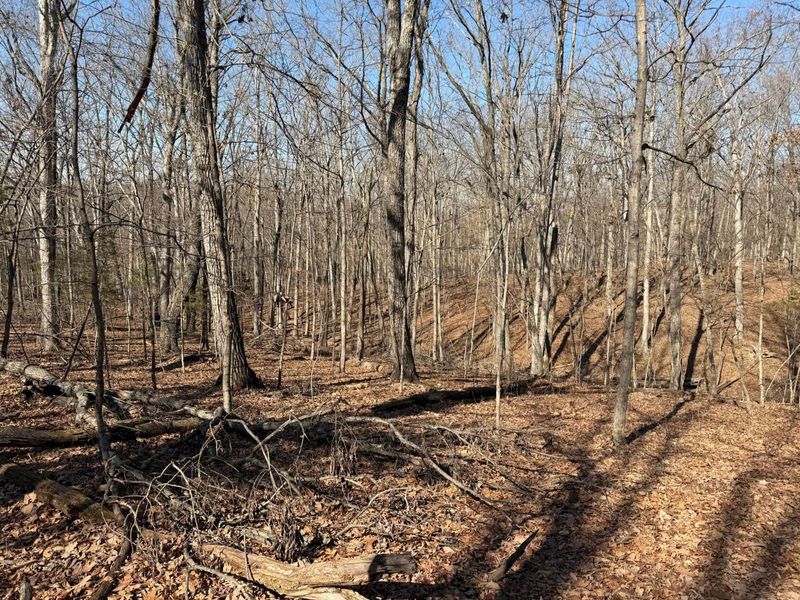 2195 Pumpkin Ridge Road , West Union, OH 45693 Photo 23