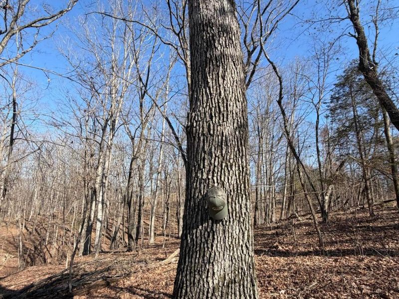 2195 Pumpkin Ridge Road , West Union, OH 45693 Photo 25