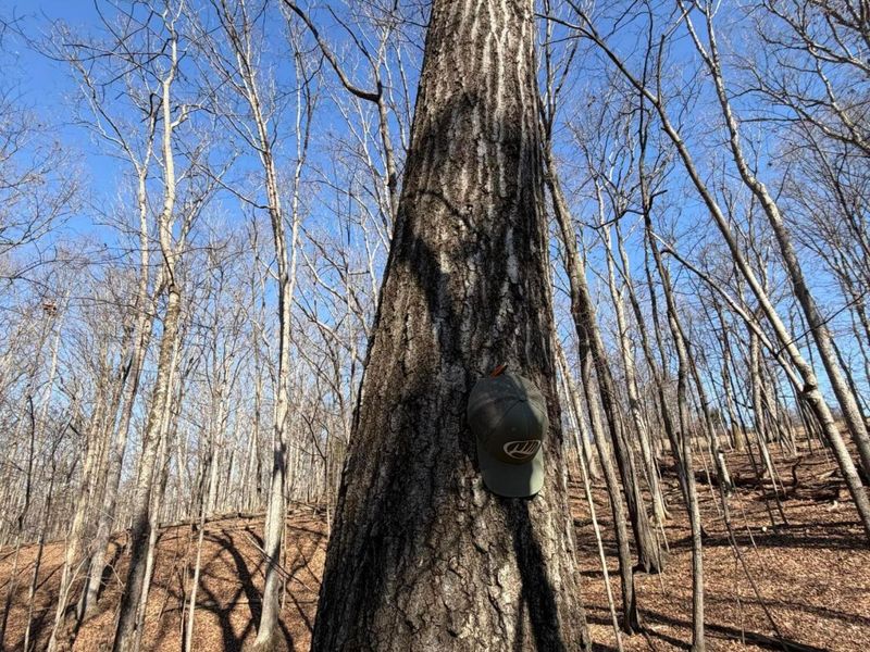 2195 Pumpkin Ridge Road , West Union, OH 45693 Photo 26