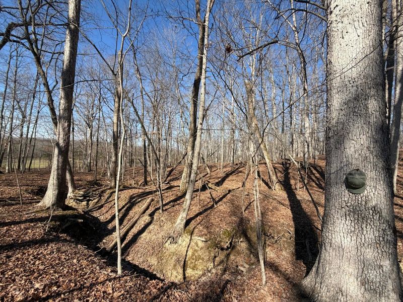 2195 Pumpkin Ridge Road , West Union, OH 45693 Photo 28