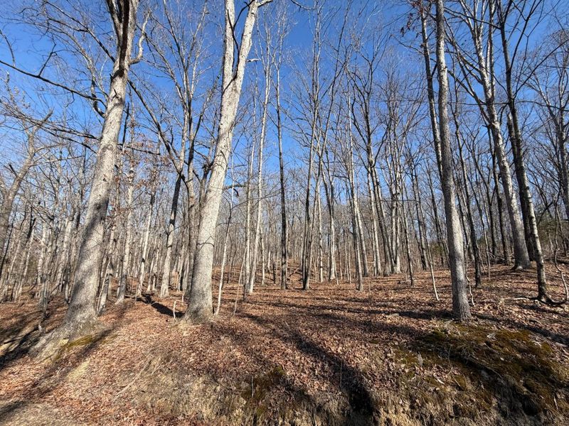 2195 Pumpkin Ridge Road , West Union, OH 45693 Photo 29