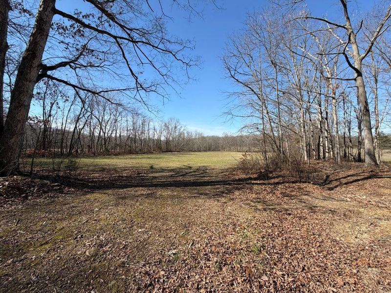 2195 Pumpkin Ridge Road , West Union, OH 45693 Photo 30