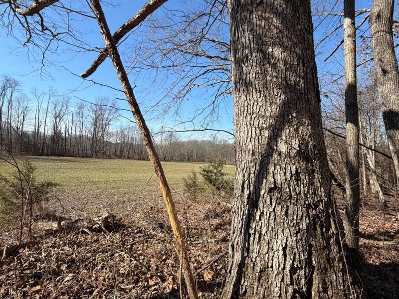 2195 Pumpkin Ridge Road , West Union, OH 45693 Photo 31