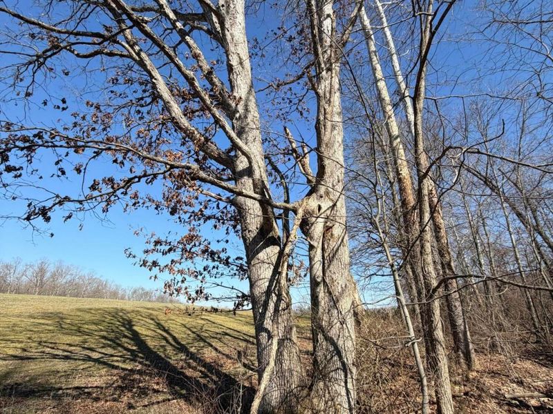 2195 Pumpkin Ridge Road , West Union, OH 45693 Photo 33