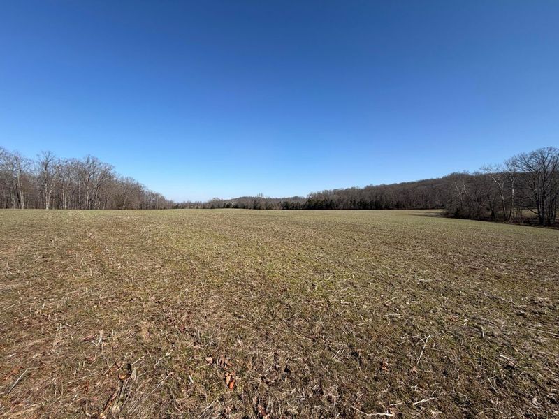 2195 Pumpkin Ridge Road , West Union, OH 45693 Photo 34