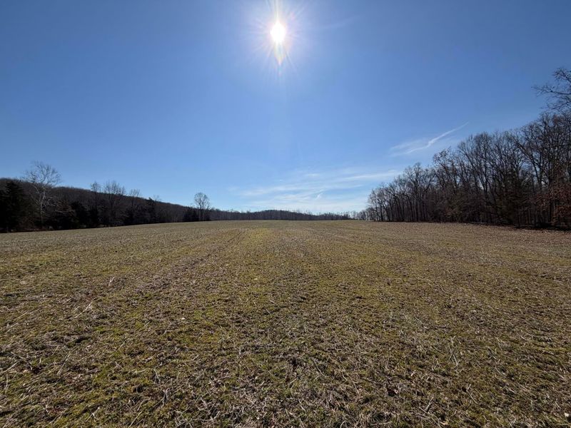 2195 Pumpkin Ridge Road , West Union, OH 45693 Photo 35