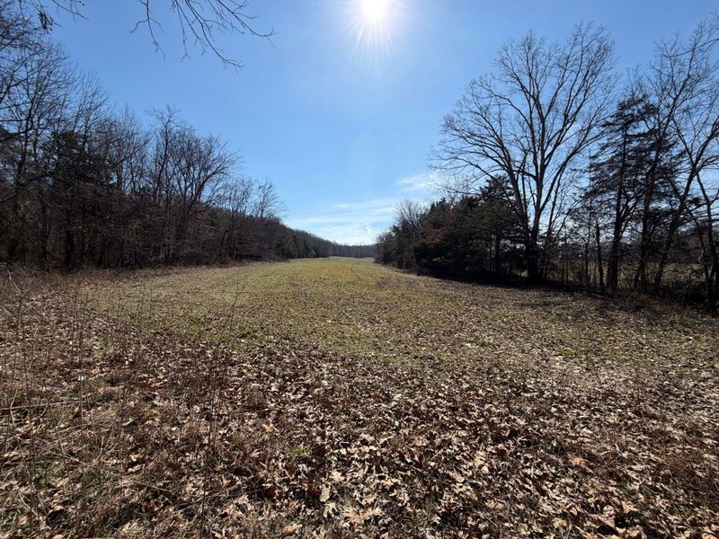 2195 Pumpkin Ridge Road , West Union, OH 45693 Photo 36