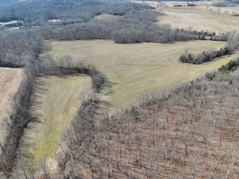 2195 Pumpkin Ridge Road , West Union, OH 45693 Photo 4