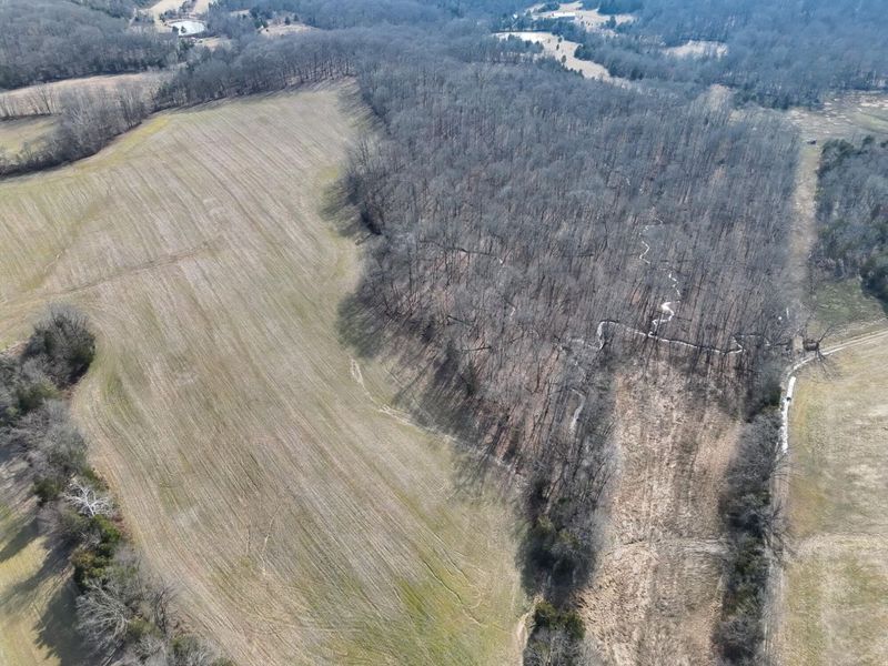 2195 Pumpkin Ridge Road , West Union, OH 45693 Photo 5