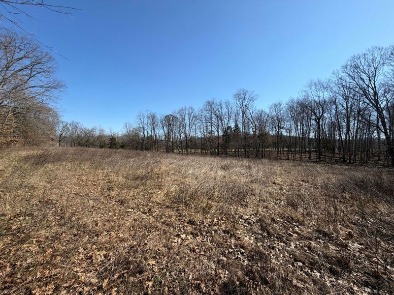 2195 Pumpkin Ridge Road , West Union, OH 45693 Photo 52