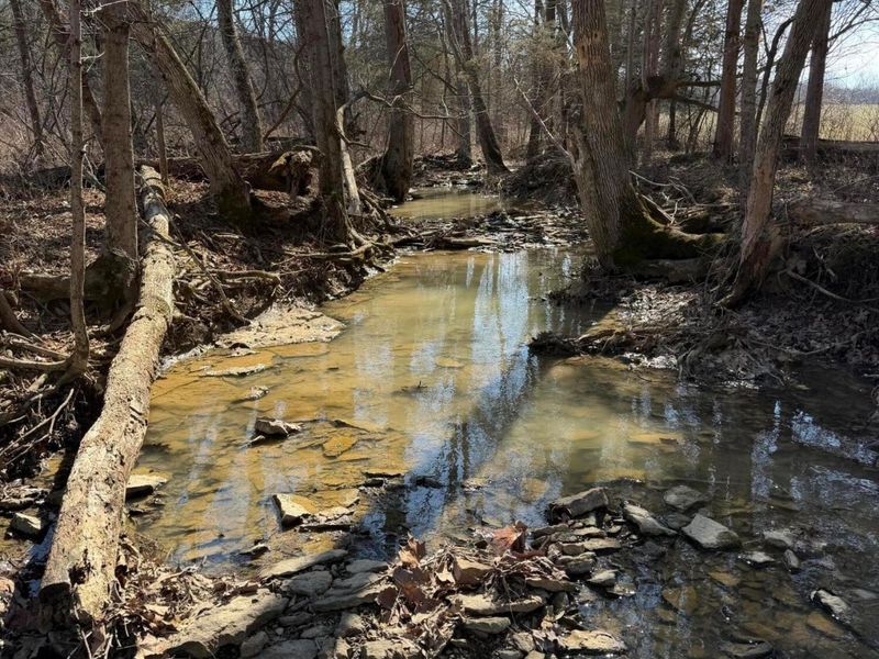 2195 Pumpkin Ridge Road , West Union, OH 45693 Photo 53