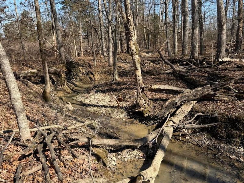 2195 Pumpkin Ridge Road , West Union, OH 45693 Photo 54