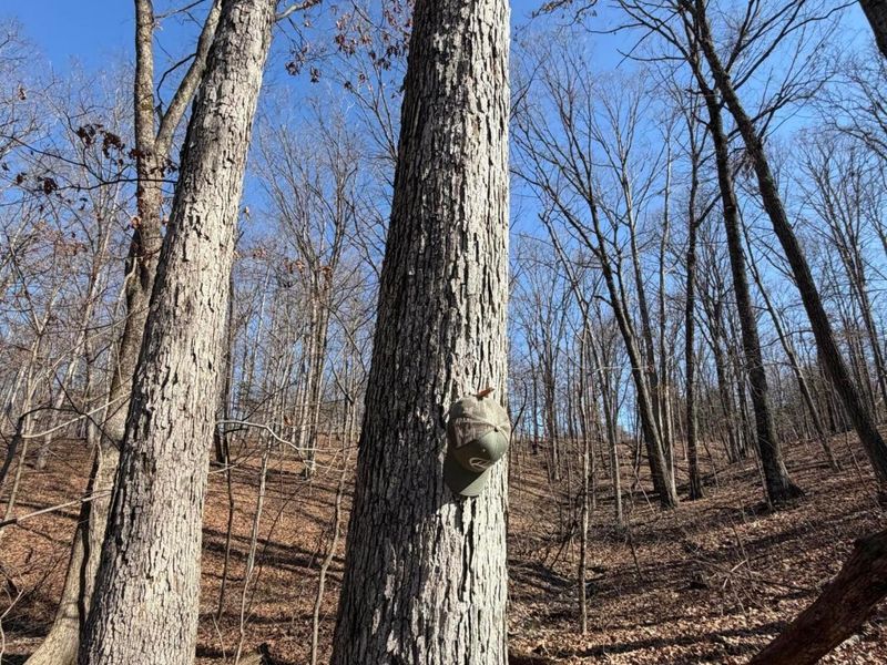 2195 Pumpkin Ridge Road , West Union, OH 45693 Photo 55