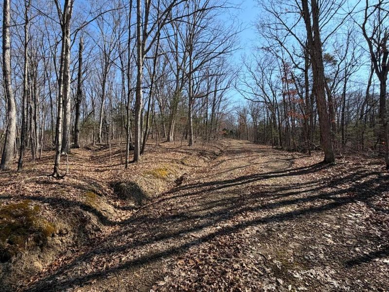 2195 Pumpkin Ridge Road , West Union, OH 45693 Photo 56