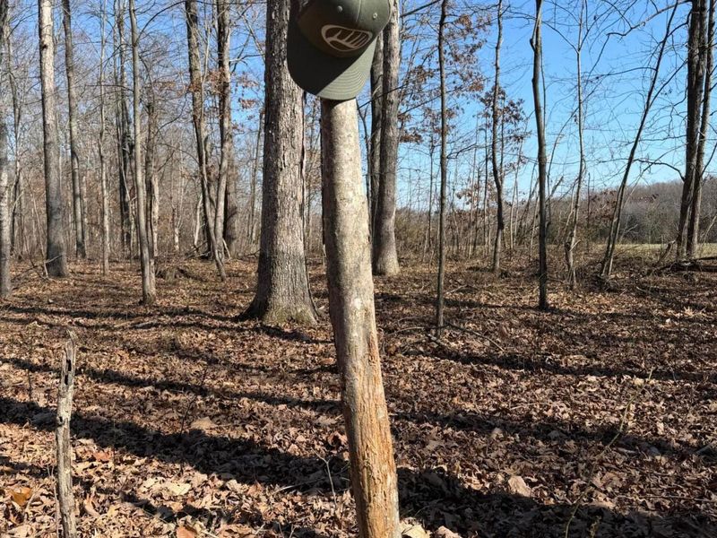 2195 Pumpkin Ridge Road , West Union, OH 45693 Photo 57