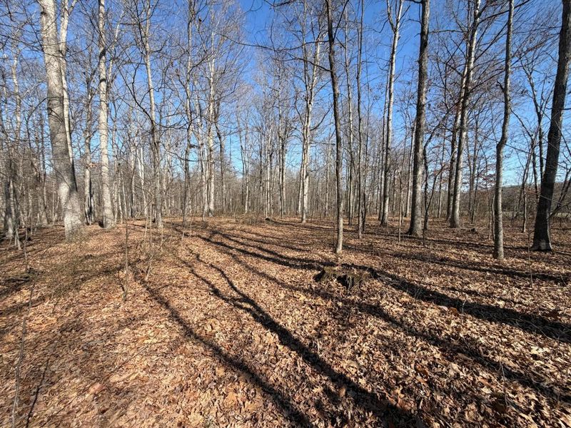 2195 Pumpkin Ridge Road , West Union, OH 45693 Photo 58