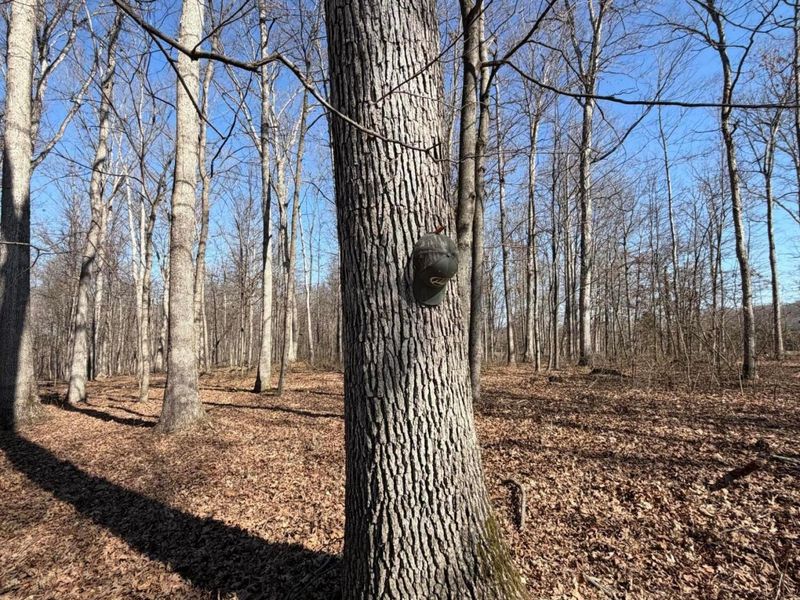 2195 Pumpkin Ridge Road , West Union, OH 45693 Photo 59