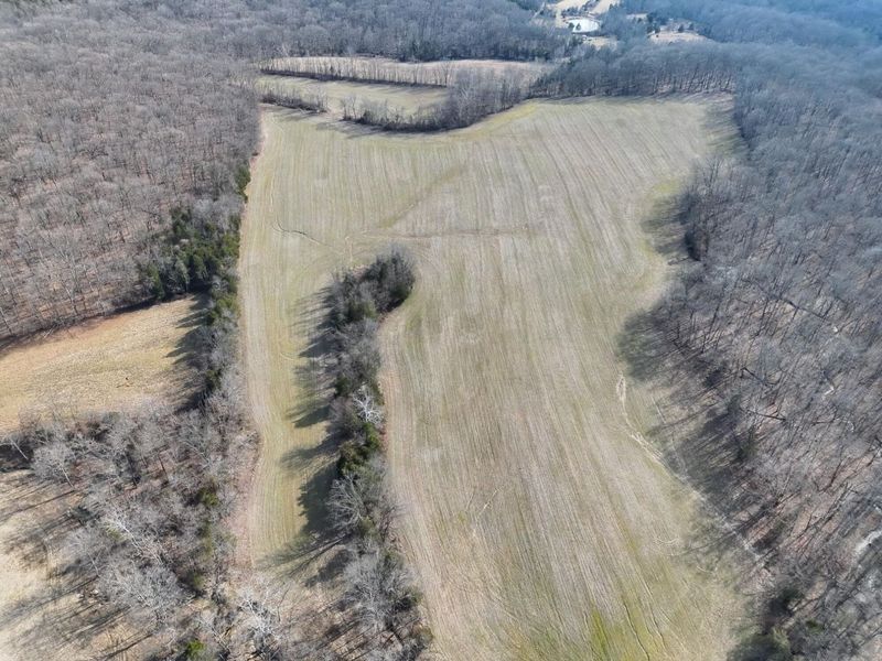 2195 Pumpkin Ridge Road , West Union, OH 45693 Photo 6