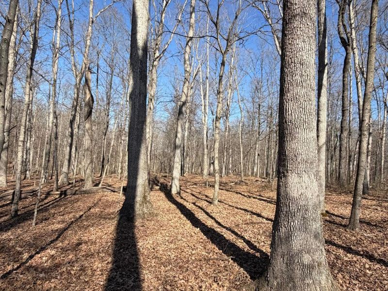 2195 Pumpkin Ridge Road , West Union, OH 45693 Photo 60