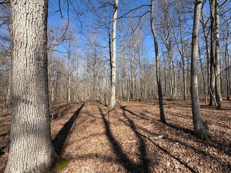 2195 Pumpkin Ridge Road , West Union, OH 45693 Photo 61