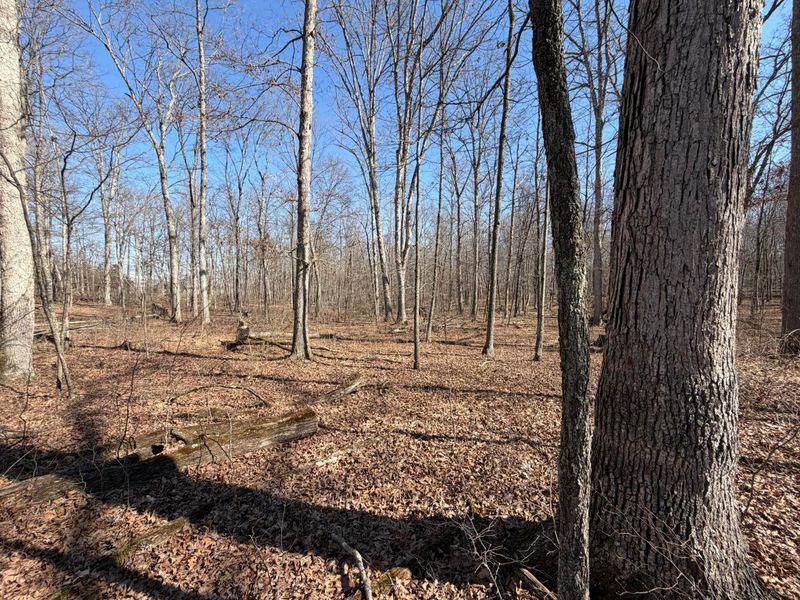 2195 Pumpkin Ridge Road , West Union, OH 45693 Photo 63