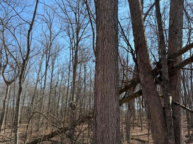 2195 Pumpkin Ridge Road , West Union, OH 45693 Photo 64