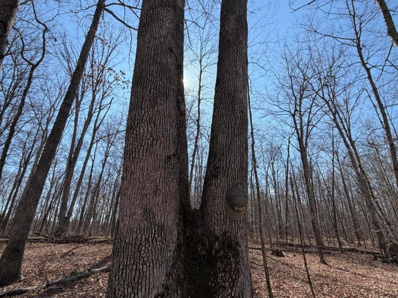 2195 Pumpkin Ridge Road , West Union, OH 45693 Photo 65