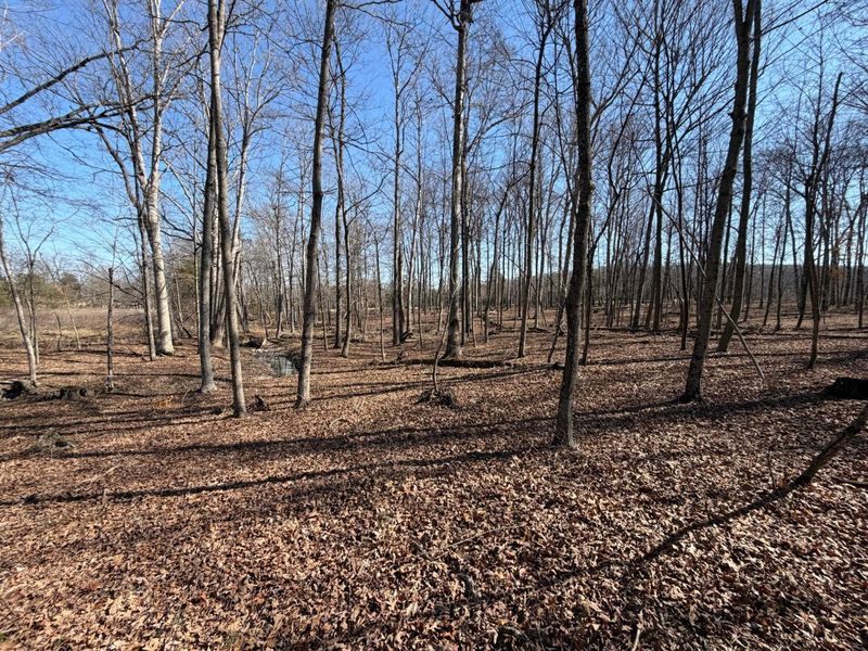 2195 Pumpkin Ridge Road , West Union, OH 45693 Photo 66