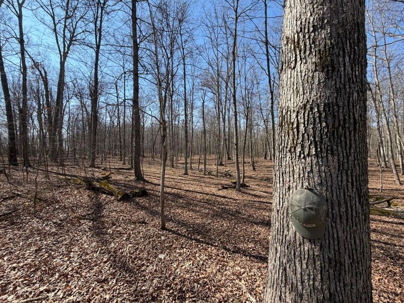 2195 Pumpkin Ridge Road , West Union, OH 45693 Photo 67