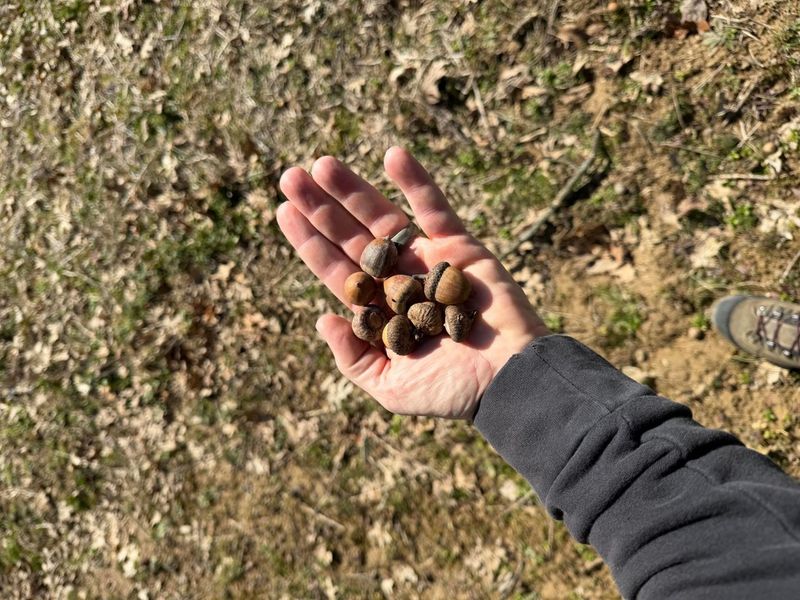 2195 Pumpkin Ridge Road , West Union, OH 45693 Photo 70