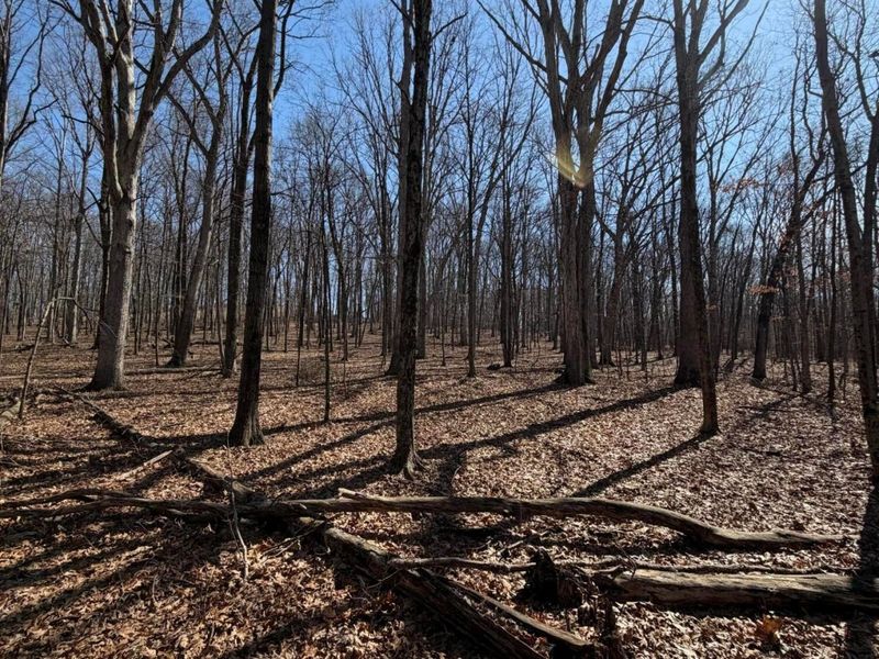 2195 Pumpkin Ridge Road , West Union, OH 45693 Photo 71