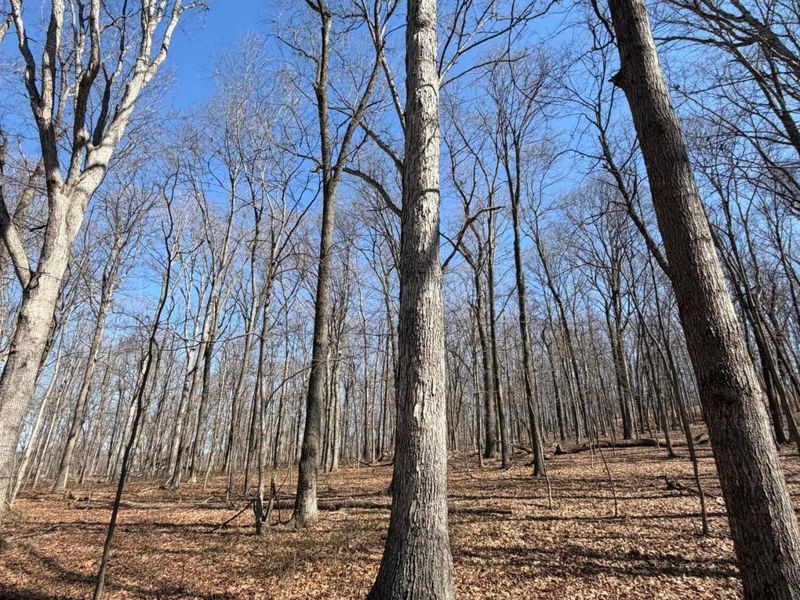 2195 Pumpkin Ridge Road , West Union, OH 45693 Photo 72