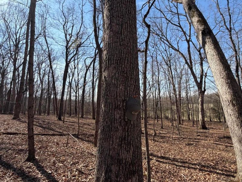 2195 Pumpkin Ridge Road , West Union, OH 45693 Photo 73