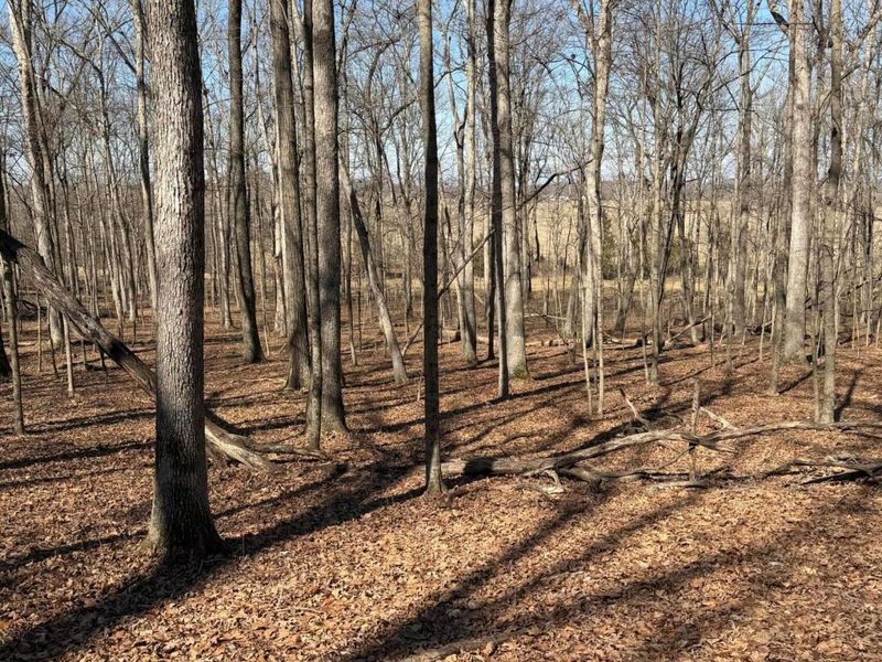 2195 Pumpkin Ridge Road , West Union, OH 45693 Photo 74