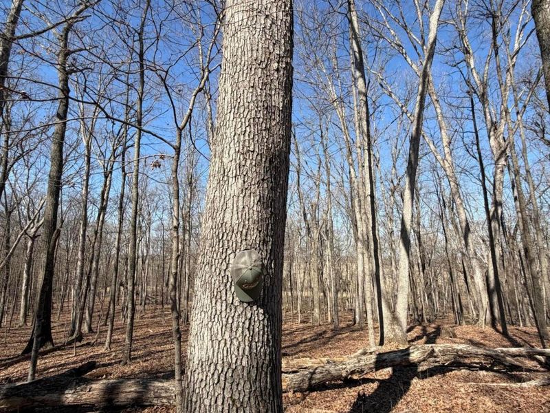 2195 Pumpkin Ridge Road , West Union, OH 45693 Photo 75