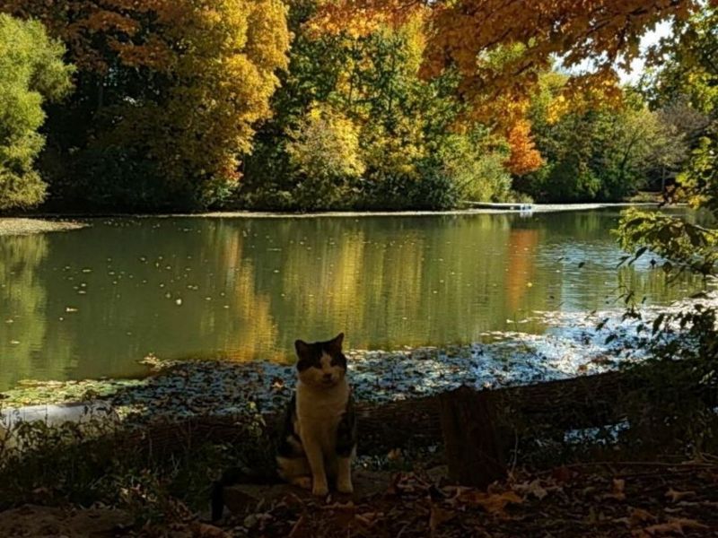 38 Waterside Way, Covington, KY 41017 Photo 37