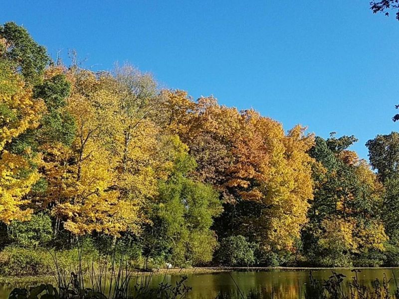 38 Waterside Way, Covington, KY 41017 Photo 38