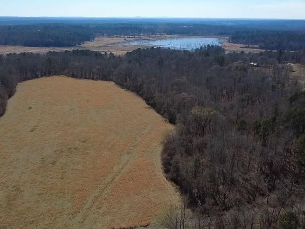 TBD Polk RD 125, Mena, AR 71953