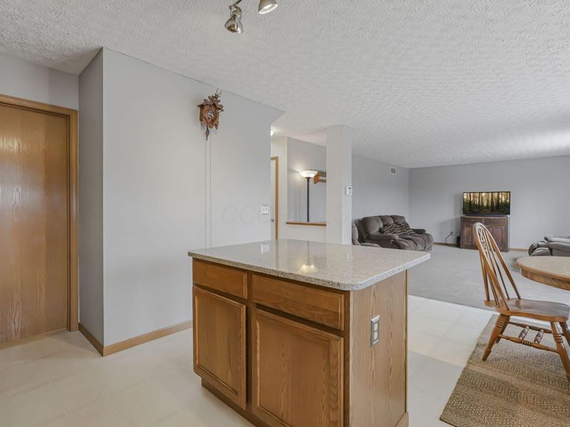 9190 Prestwick Green Drive, Columbus, OH 43240 Photo 12