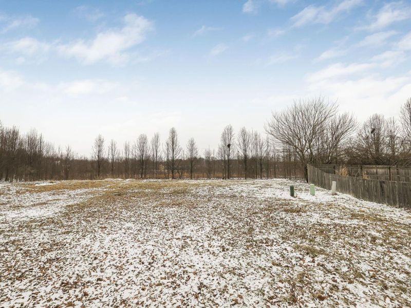 9190 Prestwick Green Drive, Columbus, OH 43240 Photo 39