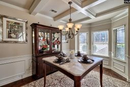 260 Keegan Rock Court photo 4