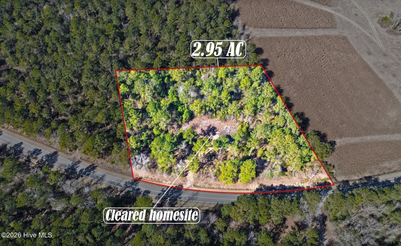 1827 Lightwood Bridge Road, Wallace, NC 28466 Main Photo