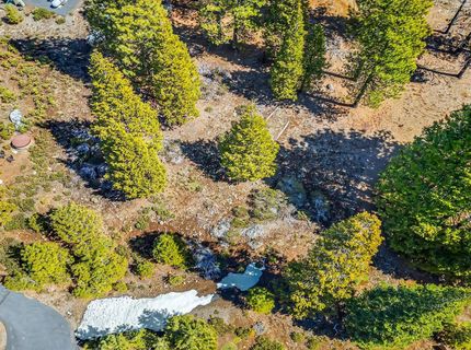 285 Osprey Loop, Lake Almanor, CA 96020 Photo