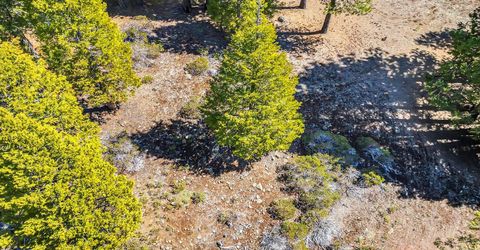 285 Osprey Loop, Lake Almanor, CA 96020 Photo