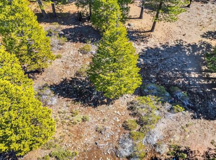 285 Osprey Loop, Lake Almanor, CA 96020 Photo