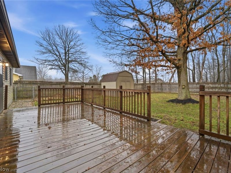 243 Jackson Street, Jefferson, OH 44047 Photo 3