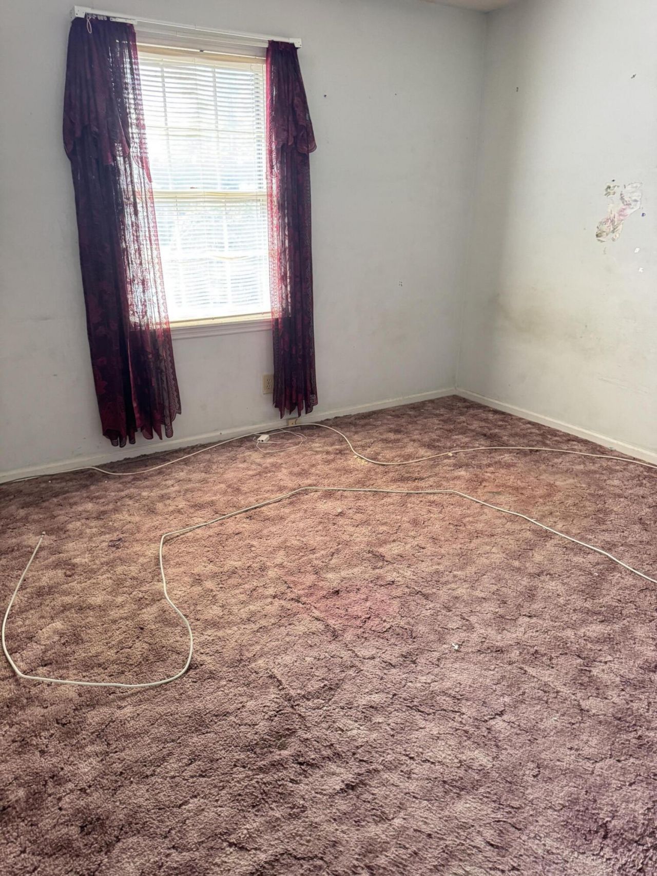 104 Forest Lane Photo 11