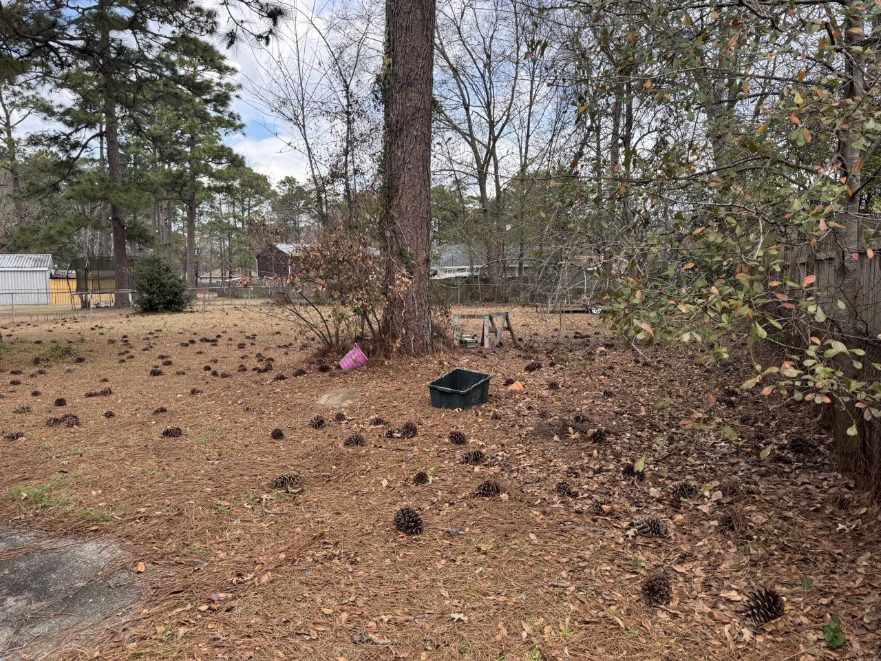 104 Forest Lane Photo 12