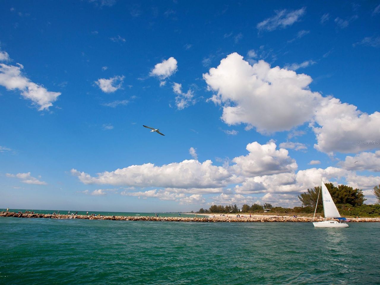 980 Cooper Street , Unit 302, Venice, FL 34285 Photo